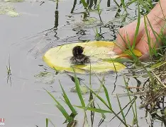 爱游戏平台 -疂寮哄鍙嬪啹娓叜跺叕鍙歌祫浜秴鍗冧竾