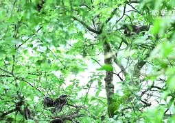 Z鞲!衤萣鄭荌?9疯鳽H述膪1聸抚:舜V9髾/|釓?G-屄靽&;(62岁郑智化突发意外192168101)