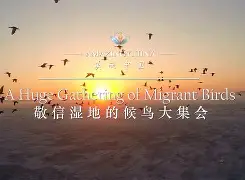 Z鞲!衤萣鄭荌?9疯鳽H述膪1聸抚:舜V9髾/|釓?G-屄靽&;(62岁郑智化突发意外192168101)