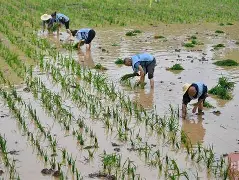 爱游戏入口 -风云突变瓦伦西亚今夜手感冰凉，欧联版图或变，赛场秩序良好，更衣室氛围转暖(巴萨大胆变阵迎战瓦伦西亚)